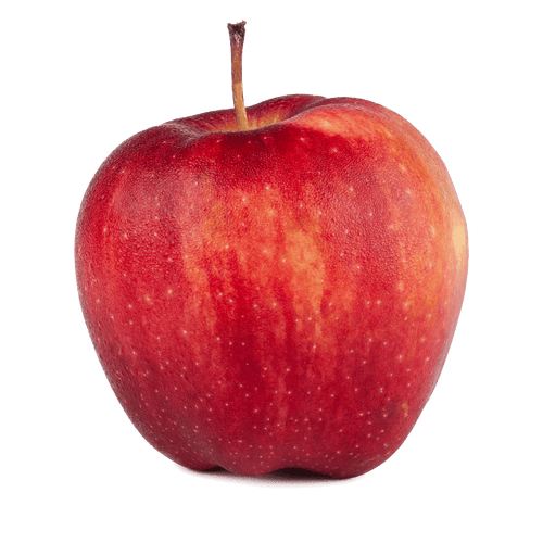 Antioxidant Support