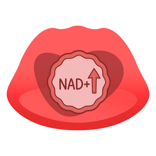 Supports Healthy NAD+ Levels