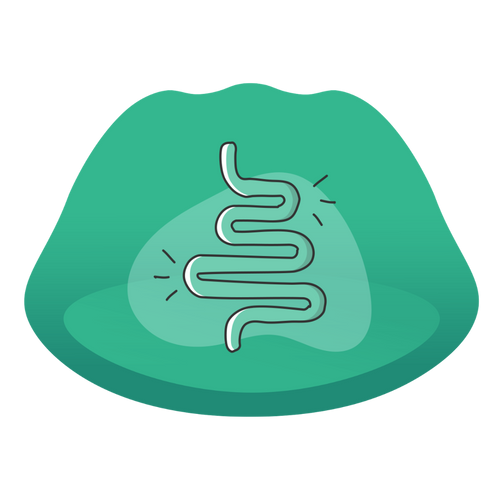 Improves Digestive Health