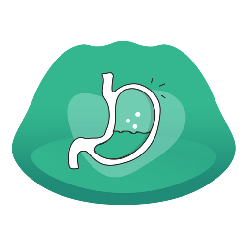 Balanced Gut