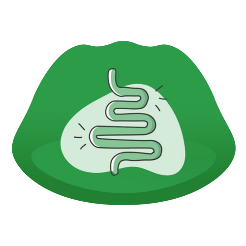 Digestive Health
