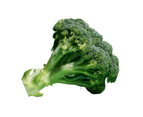 Gut Reset